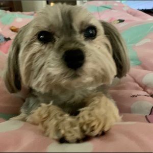 Meet your Posher, Beth